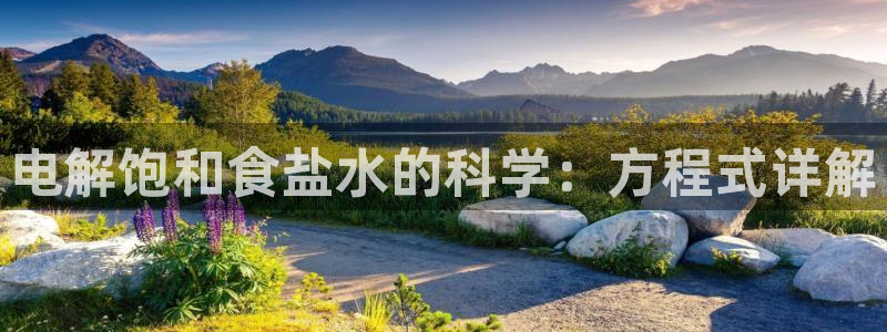 威九国际精免费下载