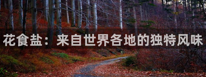 威九国际演员表
