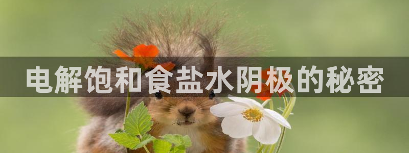 78mapp威九国际官网版