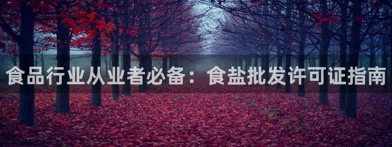 威九国际精忐