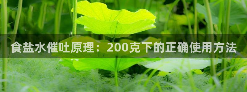 威九国际新人白发