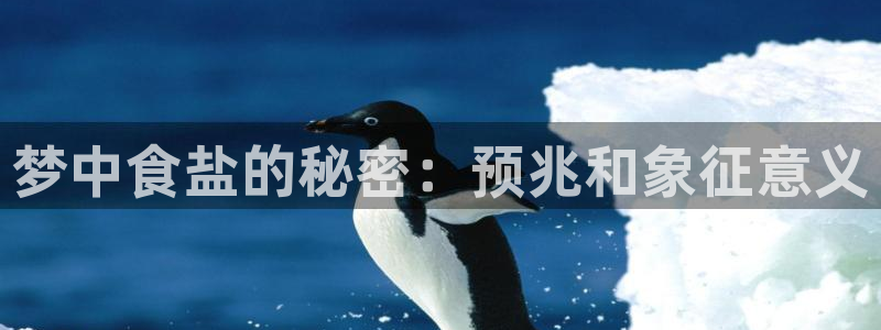 威九国际的金融服务有哪些