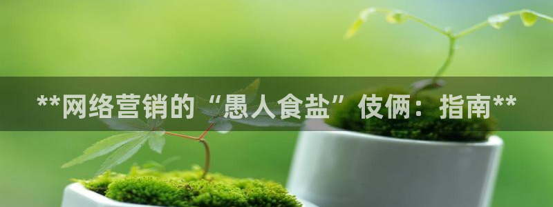 威九国际app哪个地方