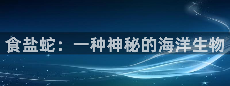 威九国际app网站官网