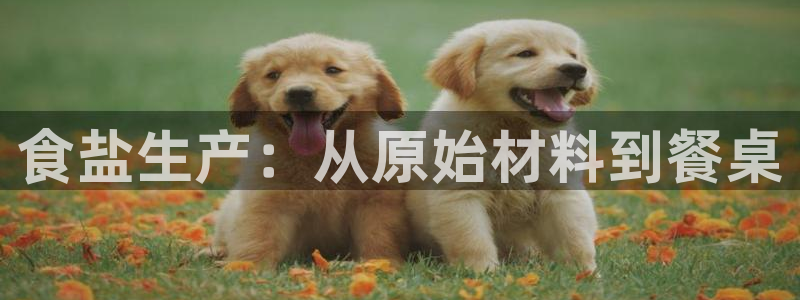 威九国际特殊奖励