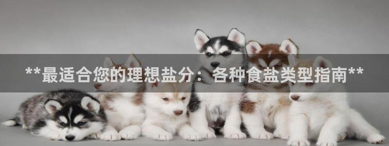 保定威九网络科技有限公司怎么样