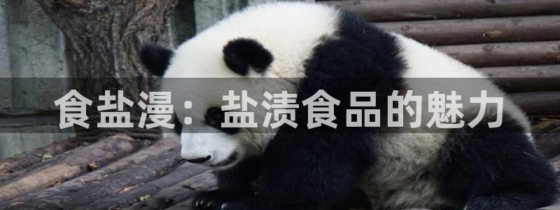 威九国际网站入口官网首页