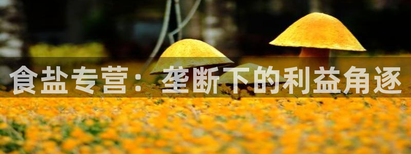 66m威九国际精选