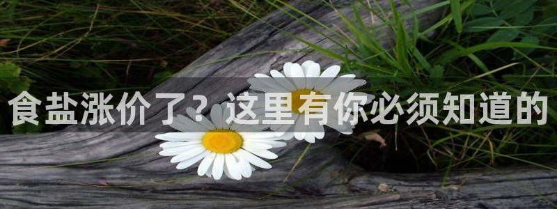 威九国际游戏