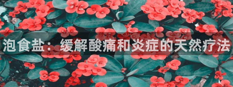 威九国际精免费下载