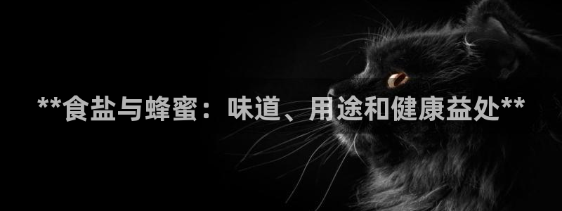 威九国际PPT