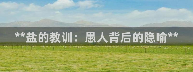 保定威九网络科技有限公司