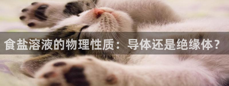 威九国际的金融服务怎么样