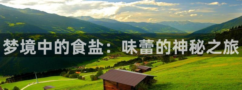 威九国际免费进入