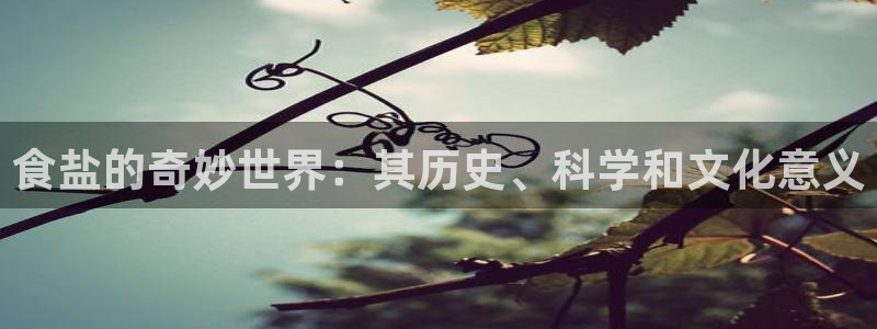 威九国际网站官网