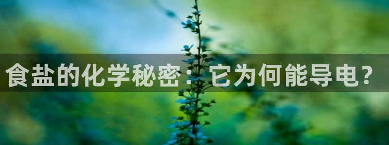 威九国际78mob游戏说明