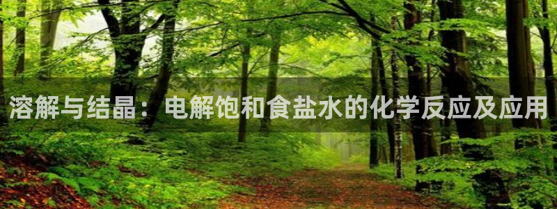 威九国际app无法登陆怎么回事