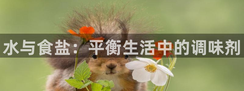 威九国际真人玩家在线对战