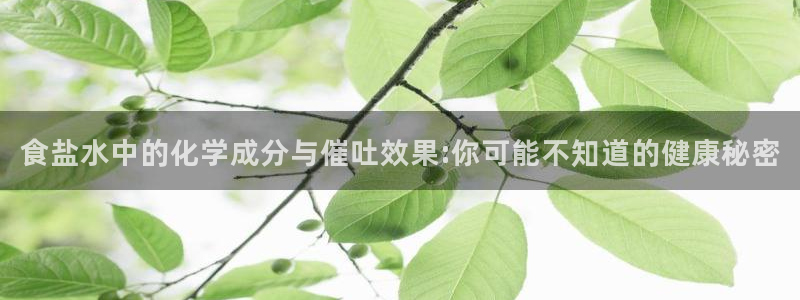 威九国际第一页