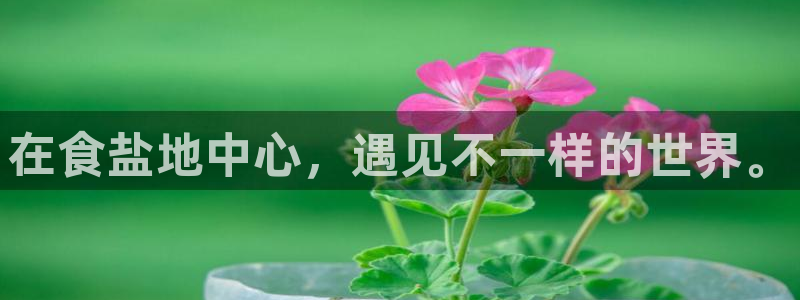 威九国际体育
