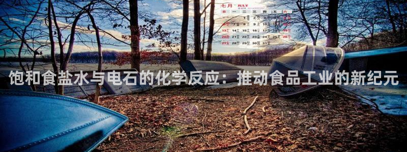威九国际女明星