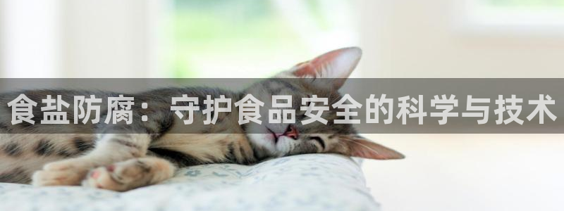 威九国际78m-MBA智库百科