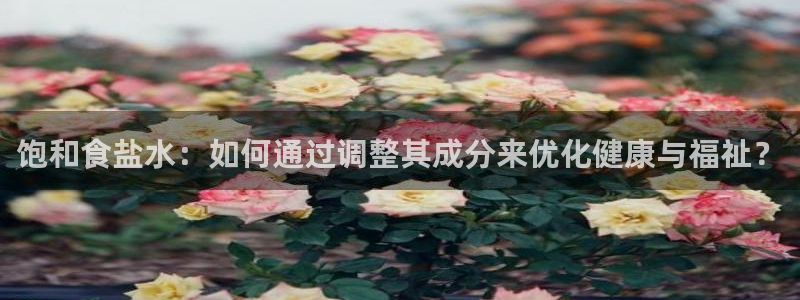 威九国际和之前