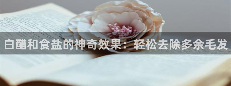 威九国际8ⅹ8x