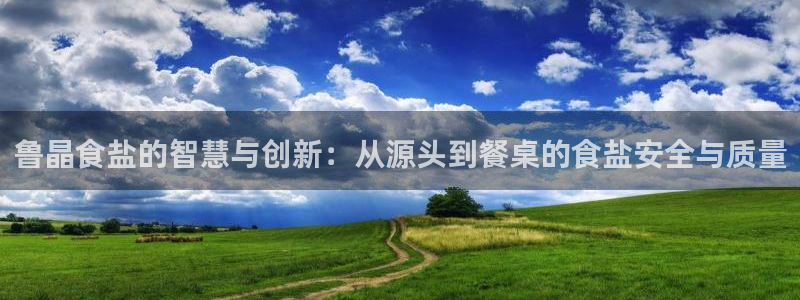 威九国际空降服务女演员叫什么名字：鲁晶食盐的智慧与创新：从源