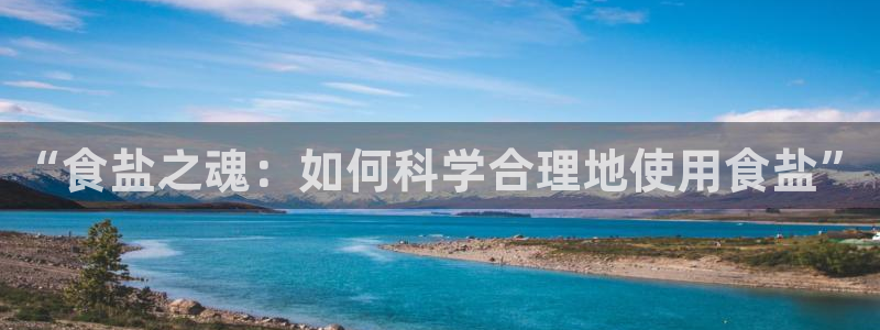 威九国际电子有限公司