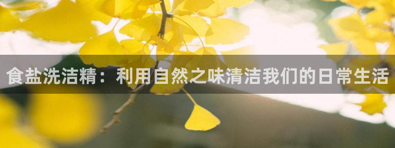 威九国际ppt免费下载