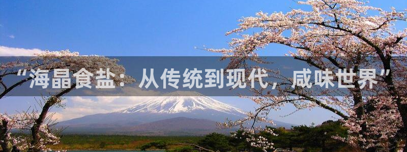 威九国际v96BET