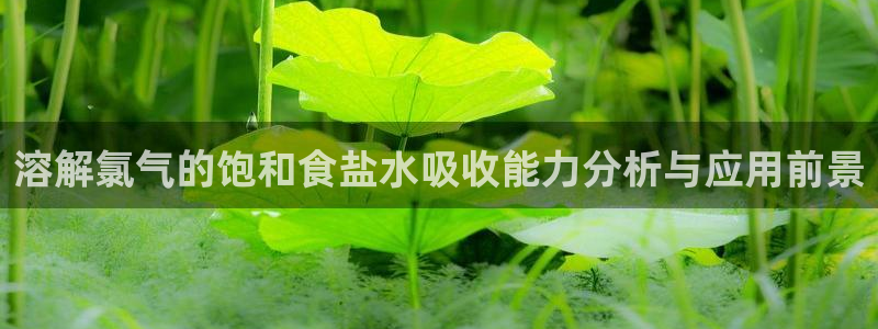 威九国际v96bet下载