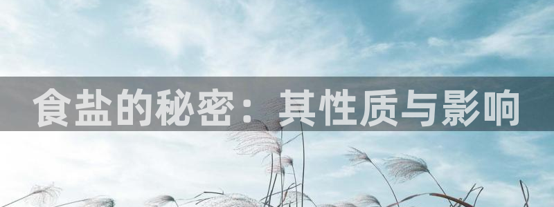 威九国际动漫