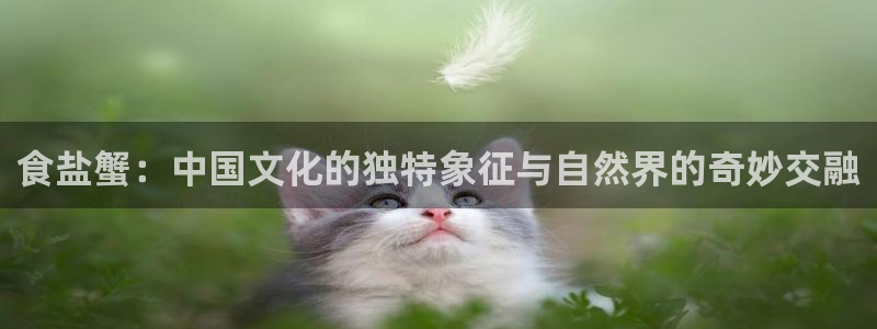 威九国际瘫痪丈夫眼见证