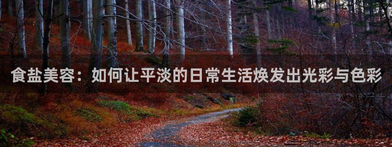 威九国际能提现吗