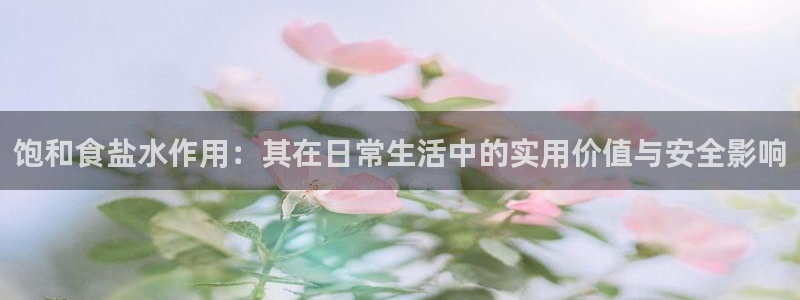威九国际网站进入客服中心：饱和食盐水作用：其在日常生活中的实