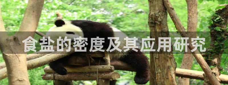 威九国际APP那个地方