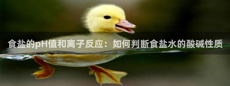78mapp威九国际人民网