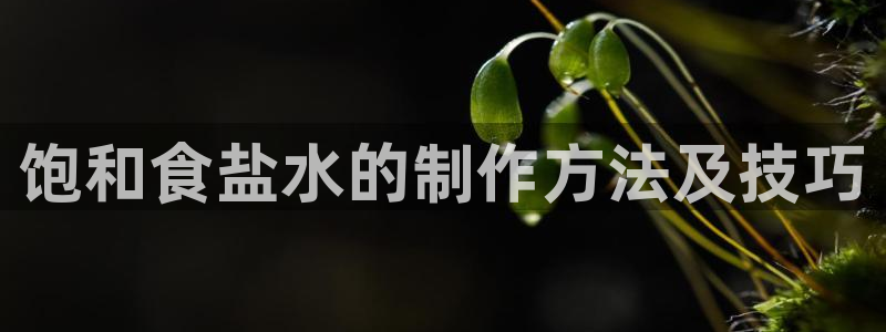 威九国际网站入口官网免费下载