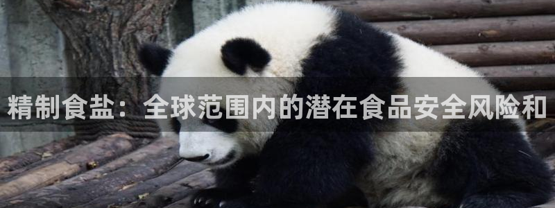 威九国际精彩推荐怎么样