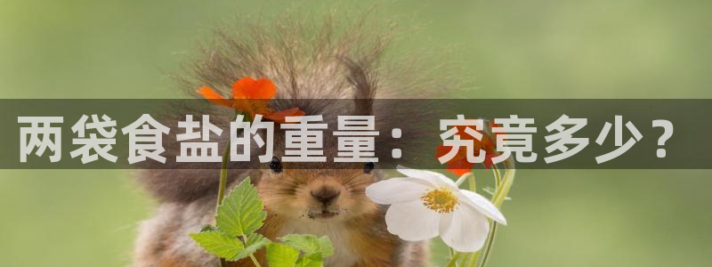 威九国际app网站官网