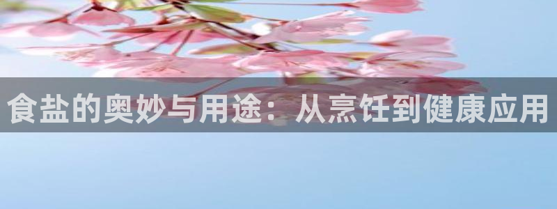 威九国际可以赚到钱