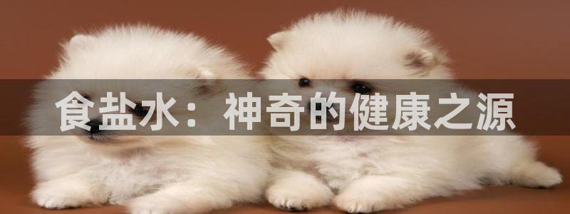 保定威九网络科技有限公司怎么样