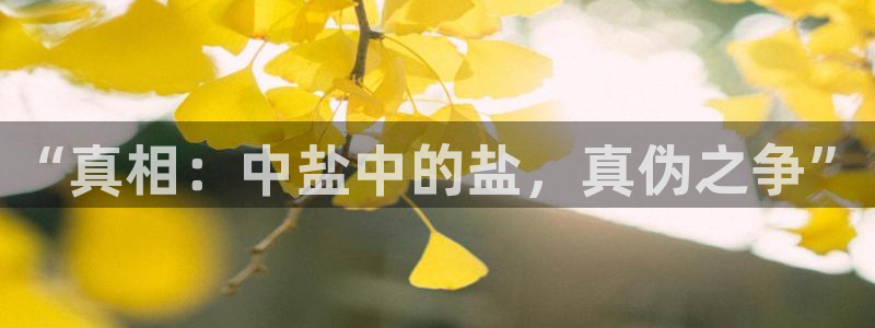 威九国际全国空降