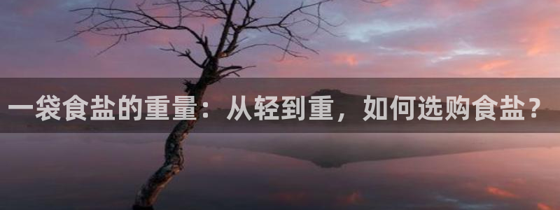 威九国际的金融服务有哪些