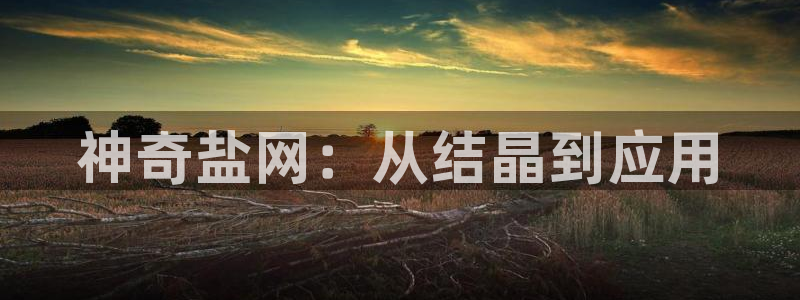 威九国际网站入口官网首页