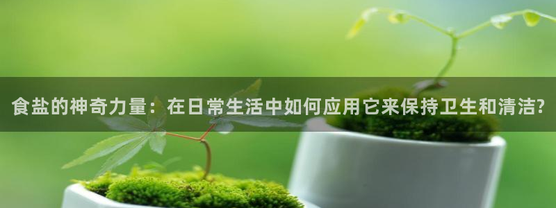 威九国际的金融服务有哪些