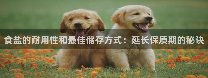 威九国际app入口官网