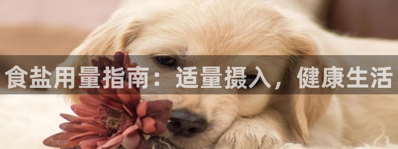 威九国际app客服电话